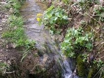 Eau p�trifiante