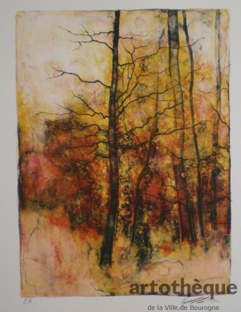 Forêt en automne