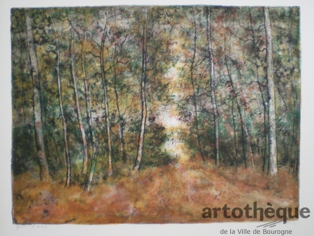 La forêt