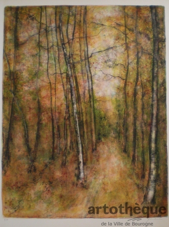 La forêt en automne