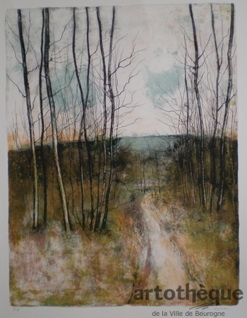 Sentier en forêt