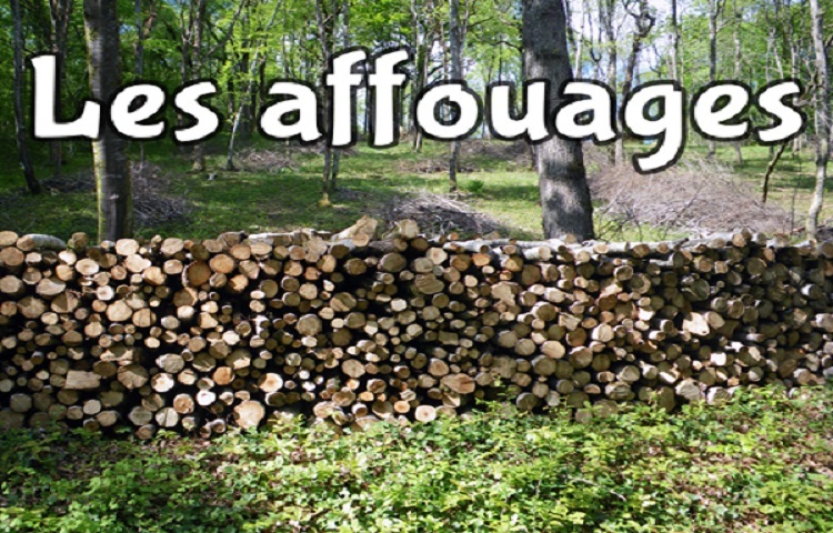 Campagne d'affouages 223/2024