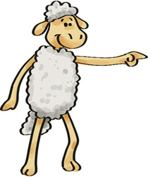 Le mouton droit