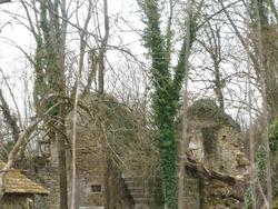 Les ruines du Château